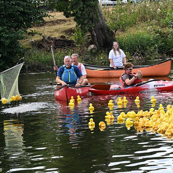 duck-race